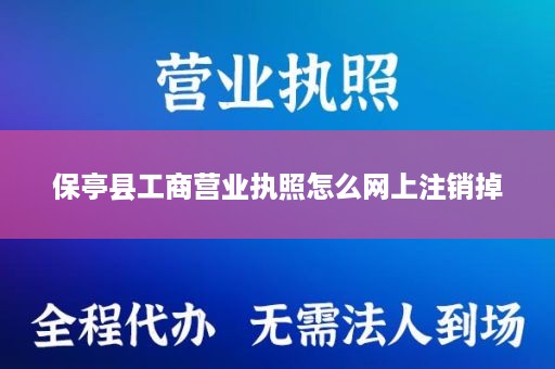 保亭县工商营业执照怎么网上注销掉