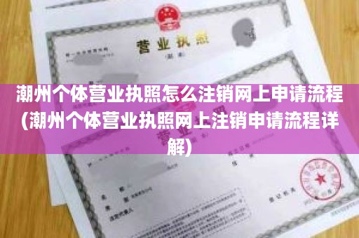 潮州个体营业执照怎么注销网上申请流程(潮州个体营业执照网上注销申请流程详解)