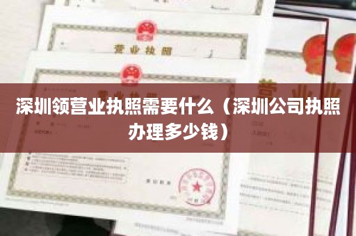 深圳领营业执照需要什么（深圳公司执照办理多少钱）