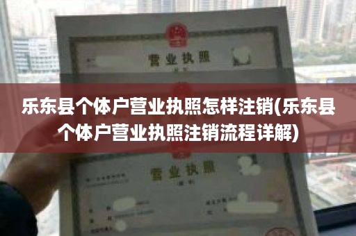 乐东县个体户营业执照怎样注销(乐东县个体户营业执照注销流程详解)