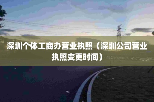 深圳个体工商办营业执照（深圳公司营业执照变更时间）