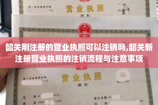 韶关刚注册的营业执照可以注销吗,韶关新注册营业执照的注销流程与注意事项