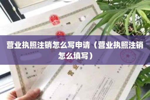 营业执照注销怎么写申请（营业执照注销怎么填写）