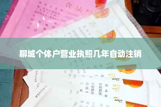 聊城个体户营业执照几年自动注销