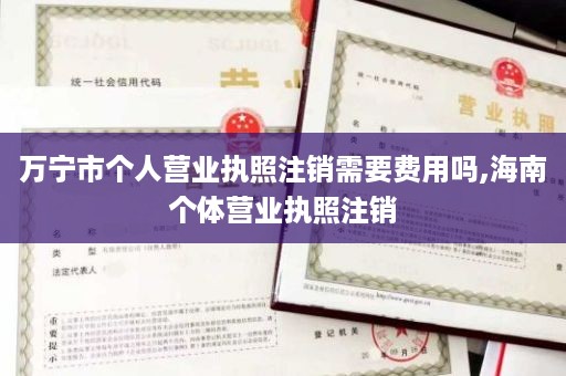 万宁市个人营业执照注销需要费用吗,海南个体营业执照注销