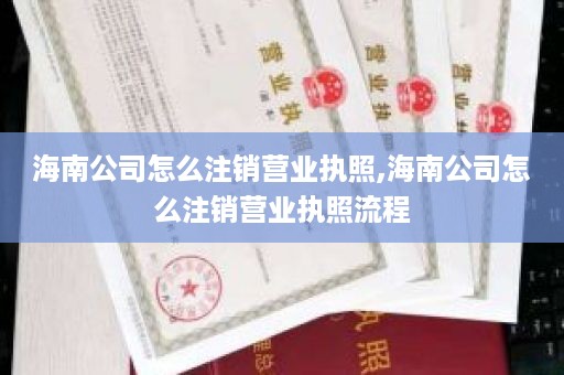 海南公司怎么注销营业执照,海南公司怎么注销营业执照流程