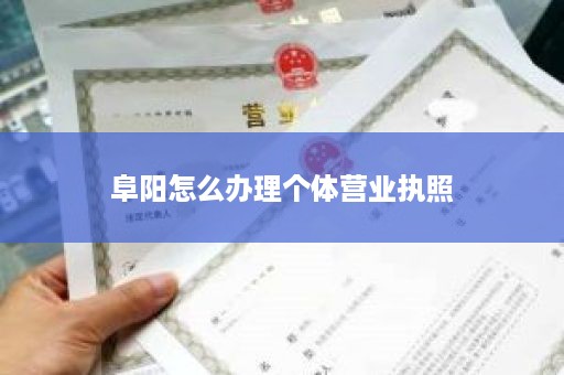 阜阳怎么办理个体营业执照