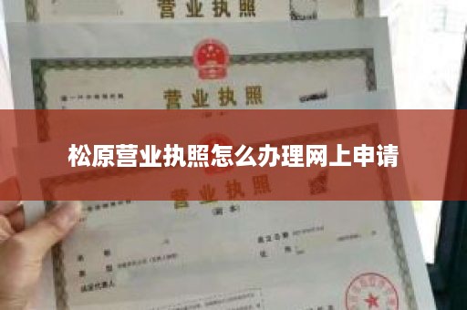 松原营业执照怎么办理网上申请
