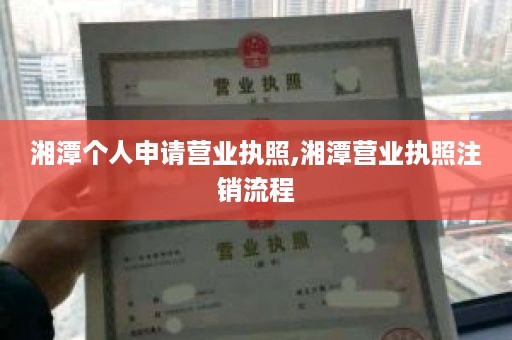湘潭个人申请营业执照,湘潭营业执照注销流程