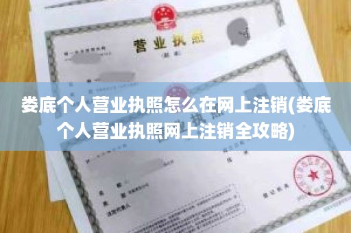 娄底个人营业执照怎么在网上注销(娄底个人营业执照网上注销全攻略)