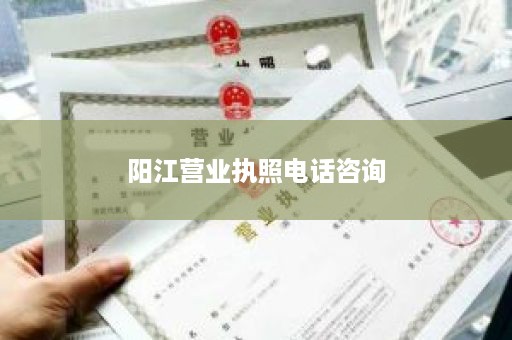 阳江营业执照电话咨询
