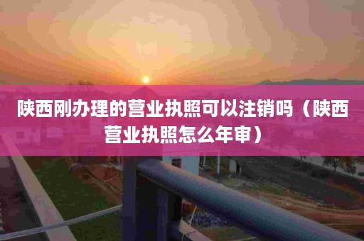 陕西刚办理的营业执照可以注销吗（陕西营业执照怎么年审）