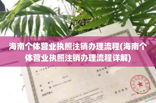 海南个体营业执照注销办理流程(海南个体营业执照注销办理流程详解)