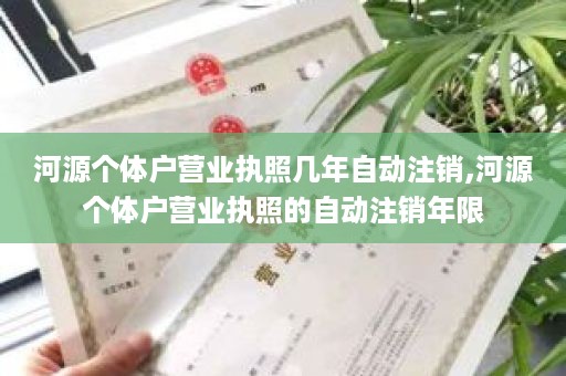 河源个体户营业执照几年自动注销,河源个体户营业执照的自动注销年限