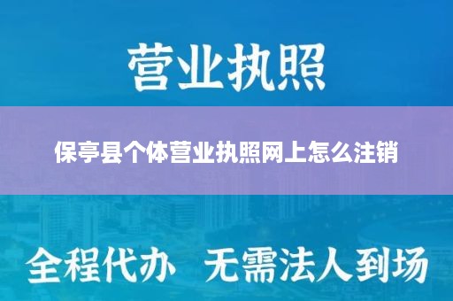 保亭县个体营业执照网上怎么注销