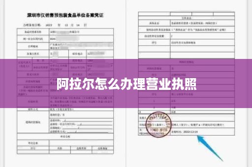 阿拉尔怎么办理营业执照