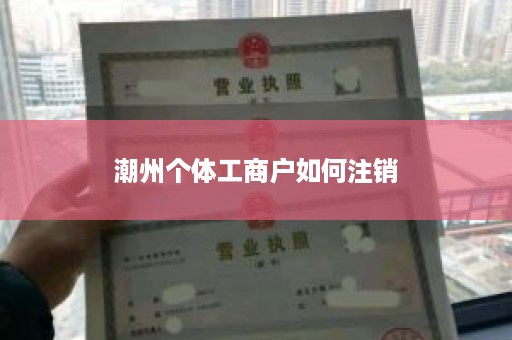 潮州个体工商户如何注销