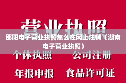 邵阳电子营业执照怎么在网上注销（湖南电子营业执照）
