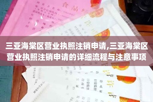 三亚海棠区营业执照注销申请,三亚海棠区营业执照注销申请的详细流程与注意事项