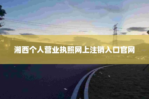 湘西个人营业执照网上注销入口官网