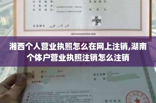 湘西个人营业执照怎么在网上注销,湖南个体户营业执照注销怎么注销