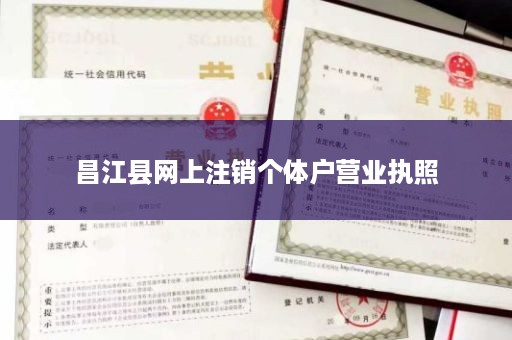 昌江县网上注销个体户营业执照