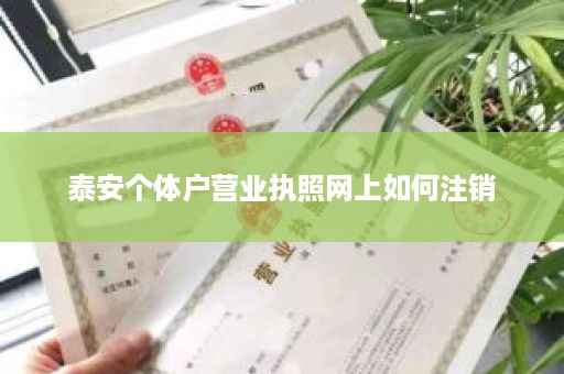 泰安个体户营业执照网上如何注销
