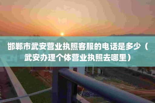 邯郸市武安营业执照客服的电话是多少（武安办理个体营业执照去哪里）
