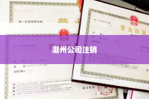 潮州公司注销
