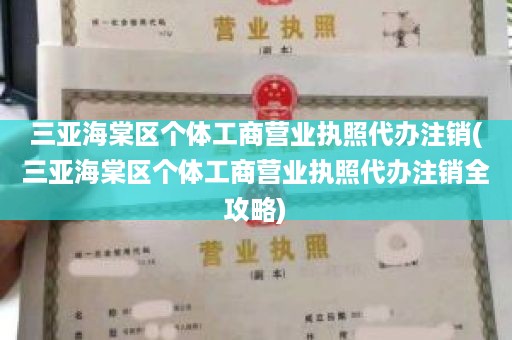 三亚海棠区个体工商营业执照代办注销(三亚海棠区个体工商营业执照代办注销全攻略)