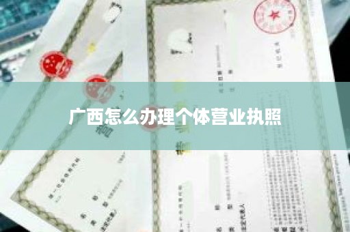 广西怎么办理个体营业执照