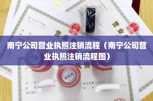 南宁公司营业执照注销流程（南宁公司营业执照注销流程图）