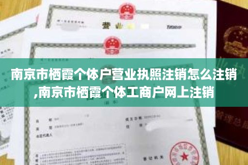 南京市栖霞个体户营业执照注销怎么注销,南京市栖霞个体工商户网上注销