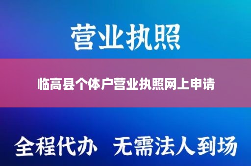 临高县个体户营业执照网上申请