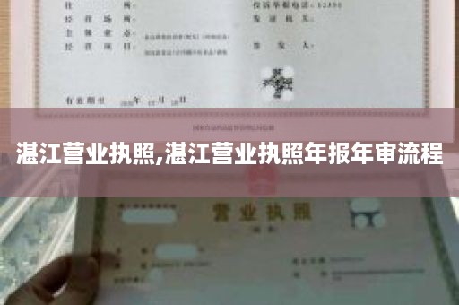 湛江营业执照,湛江营业执照年报年审流程