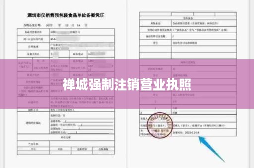 禅城强制注销营业执照