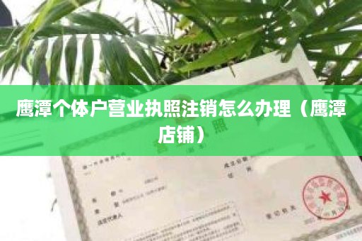 鹰潭个体户营业执照注销怎么办理（鹰潭店铺）