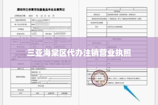 三亚海棠区代办注销营业执照