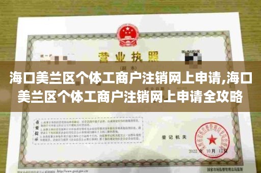 海口美兰区个体工商户注销网上申请,海口美兰区个体工商户注销网上申请全攻略