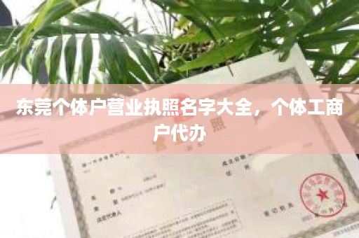东莞个体户营业执照名字大全，个体工商户代办