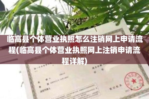 临高县个体营业执照怎么注销网上申请流程(临高县个体营业执照网上注销申请流程详解)