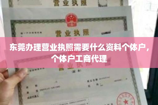 东莞办理营业执照需要什么资料个体户，个体户工商代理
