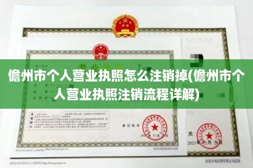 儋州市个人营业执照怎么注销掉(儋州市个人营业执照注销流程详解)