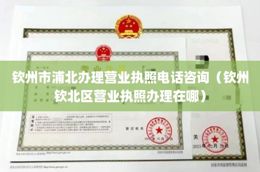 钦州市浦北办理营业执照电话咨询（钦州钦北区营业执照办理在哪）