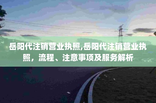 岳阳代注销营业执照,岳阳代注销营业执照，流程、注意事项及服务解析