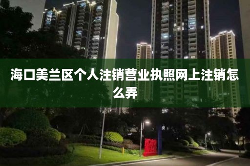 海口美兰区个人注销营业执照网上注销怎么弄