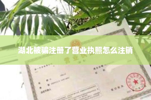 湖北被骗注册了营业执照怎么注销