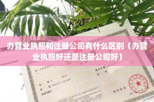 办营业执照和注册公司有什么区别（办营业执照好还是注册公司好）