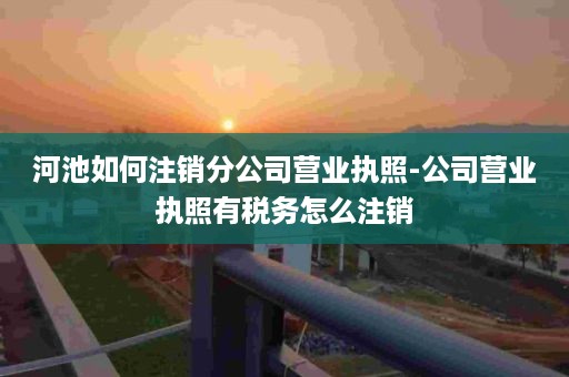 河池如何注销分公司营业执照-公司营业执照有税务怎么注销
