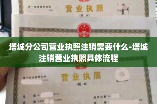 塔城分公司营业执照注销需要什么-塔城注销营业执照具体流程